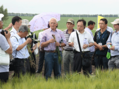 教我種地的德國(guó)軍人--致敬“前浪”老布（Bunge）